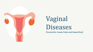 Vaginal
Diseases
Presented by Sonam Yeden and Sonam Dorji
 