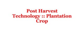 Post Harvest
Technology :: Plantation
Crop
 