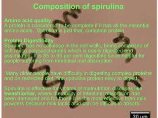 Composition of spirulina
Amino acid quality
A protein is considered to be complete if it has all the essential
amino acids. Spirulina is just that, complete protein.
Protein Digestibility
Spirulina has no cellulose in the cell walls, being composed of
soft muco polysaccharides which is easily digested and
assimilated. It is 85 to 95 per cent digestible since helpful for
people suffering from intestinal mal absorption.
Many older people have difficulty in digesting complex proteins
and on restricted diet, fins spirulina protein easy to digest.
Spirulina is effective for victims of malnutrition diseases like
kwashiorkar, where the ability of intestinal absorption has
been damaged and for those it is the most effective than milk
powders because milk lactic acid can be difficult to absorb.
 
