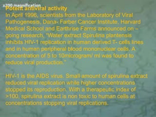 Potent antiviral activity
In April 1996, scientists from the Laboratory of Viral
Pathogenesis, Dana- Farber Cancer Institute, Harvard
Medical School and Earthrise Farms announced on –
going research, “Water extract Spirulina plantensis
inhibits HIV-1 replication in human derived T- cells lines
and in human peripheral blood mononuclear cells. A
concentration of 5 to 10microgram/ ml was found to
reduce viral production.”
HIV-1 is the AIDS virus. Small amount of spirulina extract
reduced viral replication while higher concentrations
stopped its reproduction. With a therapeutic index of
>100, spirulina extract is non toxic to human cells at
concentrations stopping viral replications.
 