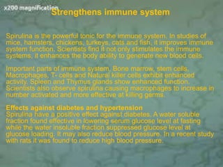 Strengthens immune system
Spirulina is the powerful tonic for the immune system. In studies of
mice, hamsters, chickens, turkeys, cats and fish, it improves immune
system function. Scientists find it not only stimulates the immune
systems, it enhances the body ability to generate new blood cells.
Important parts of immune system, Bone marrow, stem cells,
Macrophages, T- cells and Natural killer cells exhibit enhanced
activity. Spleen and Thymus glands show enhanced function.
Scientists also observe spirulina causing macrophages to increase in
number activated and more effective at killing germs.
Effects against diabetes and hypertension
Spirulina have a positive effect against diabetes. A water soluble
fraction found effective in lowering serum glucose level at fasting
while the water insoluble fraction suppressed glucose level at
glucose loading. It may also reduce blood pressure. In a recent study
with rats it was found to reduce high blood pressure.
 
