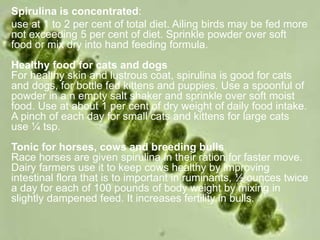 Spirulina is concentrated:
use at 1 to 2 per cent of total diet. Ailing birds may be fed more
not exceeding 5 per cent of diet. Sprinkle powder over soft
food or mix dry into hand feeding formula.
Healthy food for cats and dogs
For healthy skin and lustrous coat, spirulina is good for cats
and dogs, for bottle fed kittens and puppies. Use a spoonful of
powder in a n empty salt shaker and sprinkle over soft moist
food. Use at about 1 per cent of dry weight of daily food intake.
A pinch of each day for small cats and kittens for large cats
use ¼ tsp.
Tonic for horses, cows and breeding bulls
Race horses are given spirulina in their ration for faster move.
Dairy farmers use it to keep cows healthy by improving
intestinal flora that is to important in ruminants, ½ ounces twice
a day for each of 100 pounds of body weight by mixing in
slightly dampened feed. It increases fertility in bulls.
 
