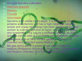  Mud pot Spirulina cultivation
 Materials required
 Medium
 Process
 Advantages
 Spirulina is an edible micro-algae. It is toxic-free, rich in
proteins and vitamins and has a high medicinal value. A
simple and cheap technology has been developed for rural
women to cultivate spirulina at home, requiring little space
and investment. This can be a profitable industry as dried
spirulina can be sold at a profitable price.Materials required
 Three mud pots of 35 to 40 litre capacity / 25 sq.m. of
exposed and protected space.Medium
 Bio-gas slurry and 2-3 grams of sea salt or chemical
medium (Potassium dihydrogen Phosphate, Cooking Soda
and Sodium Chloride); and Pure Spirulina Culture.
 