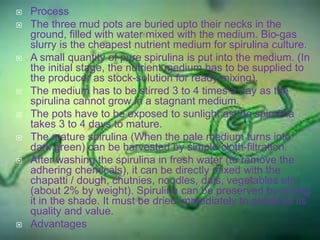  Process
 The three mud pots are buried upto their necks in the
ground, filled with water mixed with the medium. Bio-gas
slurry is the cheapest nutrient medium for spirulina culture.
 A small quantity of pure spirulina is put into the medium. (In
the initial stage, the nutrient medium has to be supplied to
the producer as stock-solution for ready mixing).
 The medium has to be stirred 3 to 4 times a day as the
spirulina cannot grow in a stagnant medium.
 The pots have to be exposed to sunlight as the spirulina
takes 3 to 4 days to mature.
 The mature spirulina (When the pale medium turns into
dark green) can be harvested by simple cloth-filtration.
 After washing the spirulina in fresh water (to remove the
adhering chemicals), it can be directly mixed with the
chapatti / dough, chutnies, noodles, dais, vegetables etc.
(about 2% by weight). Spirulina can be preserved by drying
it in the shade. It must be dried immediately to preserve its
quality and value.
 Advantages
 