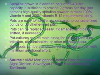  Spirulina grown in 3 earthen pots of 35-40 litre
capacity is sufficient to provide 2 grams per day (per
person) high-quality spirulina powder to meet 100%
vitamin A and 200% vitamin B-12 requirement, daily.
 Pots are easy to handle as compared to concrete-lined
ponds or polythene-lined pits.
 Pots can be replaced easily, if damaged, and can be
shifted, if necessary.
 Pot-cultures can be maintained for long periods if no
infection, contamination, or other mishaps occur.
 More pots can be manufactured by village women with
minimum additional effort.

 Source : AMM Marugappa Chetttiar Research Centre,
Algal Division, Saverivyar Puram, Pudukkotai Dist.,
Tamilnadu
 