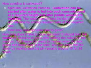 How spirulina is cultivated?
 Spirulina Cultivation Process : Cultivation can be
started after water is fed into each concrete pond
at a required height and after paddle wheels are
installed. The water has to have the right pH value
and alkaline by adding required salts at the required
rate.
 How long does spirulina take to grow?
How long does it take to grow spirulina? It should take 3-6
weeks for spirulina to grow after adding the culture to the
medium. You'll know it's ready to harvest when it's dark
green and looks thick in the tank. You can verify that it's
ready by making sure the pH remains around 10 for 24
hours.

 