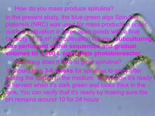  How do you mass produce spirulina?
In the present study, the blue-green alga Spirulina
platensis (NRC) was used for mass production under
outdoor cultivation in three open ponds with a final
capacity of 75 m3 net cultivation volume. Subculturing
was performed within sequences and gradual
volumes till 1,200 L open plate photobioreactor.
 How long does it take to grow spirulina?
It should take 3-6 weeks for spirulina to grow after
adding the culture to the medium. You'll know it's ready
to harvest when it's dark green and looks thick in the
tank. You can verify that it's ready by making sure the
pH remains around 10 for 24 hours.
 