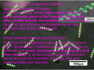 How do you start a spirulina project?
Spirulina Cultivation Process:
Cultivation can be started after water is fed into
each concrete pond at the required height and
after paddle wheels are installed. The water has to
have the right pH value and alkaline by adding
required salts at the required rate.
What materials Cannot grow spirulina?
On which of the following material, Spirulina cannot
grow? Explanation: Spirulina can be easily grown on
materials like straw, molasses, animal manure and
even sewage, to produce large quantities and can
serve as food rich in protein, minerals, fats and
carbohydrates and vitamins.
 
