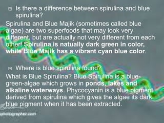  Is there a difference between spirulina and blue
spirulina?
Spirulina and Blue Majik (sometimes called blue
algae) are two superfoods that may look very
different, but are actually not very different from each
other! Spirulina is natually dark green in color,
while Blue Majik has a vibrant cyan blue color.
 Where is blue spirulina found?
What is Blue Spirulina? Blue Spirulina is a blue-
green-algae which grows in ponds, lakes and
alkaline waterways. Phycocyanin is a blue pigment
derived from spirulina which gives the algae its dark
blue pigment when it has been extracted.
 