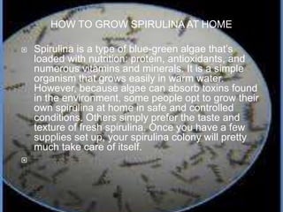 HOW TO GROW SPIRULINA AT HOME
 Spirulina is a type of blue-green algae that’s
loaded with nutrition: protein, antioxidants, and
numerous vitamins and minerals. It is a simple
organism that grows easily in warm water.
However, because algae can absorb toxins found
in the environment, some people opt to grow their
own spirulina at home in safe and controlled
conditions. Others simply prefer the taste and
texture of fresh spirulina. Once you have a few
supplies set up, your spirulina colony will pretty
much take care of itself.

 