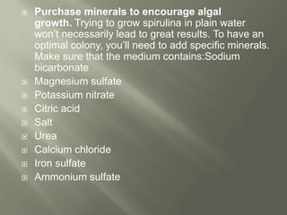 Purchase minerals to encourage algal
growth. Trying to grow spirulina in plain water
won’t necessarily lead to great results. To have an
optimal colony, you’ll need to add specific minerals.
Make sure that the medium contains:Sodium
bicarbonate
 Magnesium sulfate
 Potassium nitrate
 Citric acid
 Salt
 Urea
 Calcium chloride
 Iron sulfate
 Ammonium sulfate
 