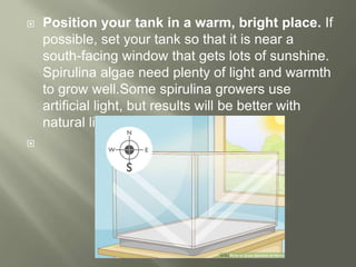  Position your tank in a warm, bright place. If
possible, set your tank so that it is near a
south-facing window that gets lots of sunshine.
Spirulina algae need plenty of light and warmth
to grow well.Some spirulina growers use
artificial light, but results will be better with
natural light.

 