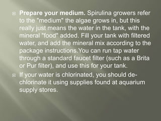  Prepare your medium. Spirulina growers refer
to the "medium" the algae grows in, but this
really just means the water in the tank, with the
mineral "food" added. Fill your tank with filtered
water, and add the mineral mix according to the
package instructions.You can run tap water
through a standard faucet filter (such as a Brita
or Pur filter), and use this for your tank.
 If your water is chlorinated, you should de-
chlorinate it using supplies found at aquarium
supply stores.
 