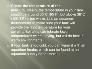  Check the temperature of the
medium. Ideally, the temperature in your tank
should be around 35°C (95 F), but above 38°C
(100.4 F) is too warm. Use an aquarium
thermometer to make sure your tank will
provide the right temperature for your
spirulina.Spirulina can tolerate lower
temperatures without dying, but will do best in
warm environments.
 If your tank is too cold, you can warm it with an
aquarium heater, which can be found at an
aquarium supply or pet store.[2]
 