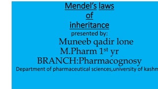 Mendel’s laws
of
inheritance
presented by:
Muneeb qadir lone
M.Pharm 1st yr
BRANCH:Pharmacognosy
Department of pharmaceutical sciences,university of kashm
 