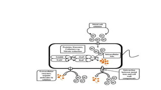 New Microsoft PowerPoint Presentation.pptx