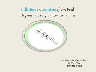 Collection and Isolation of Live Feed
Organisms Using Various techniques
Jadhav Amit Waghambar
M.F.Sc. I Year
AQC-MA-09-03
 