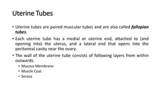 Histology of Female Reproductive System.pptx