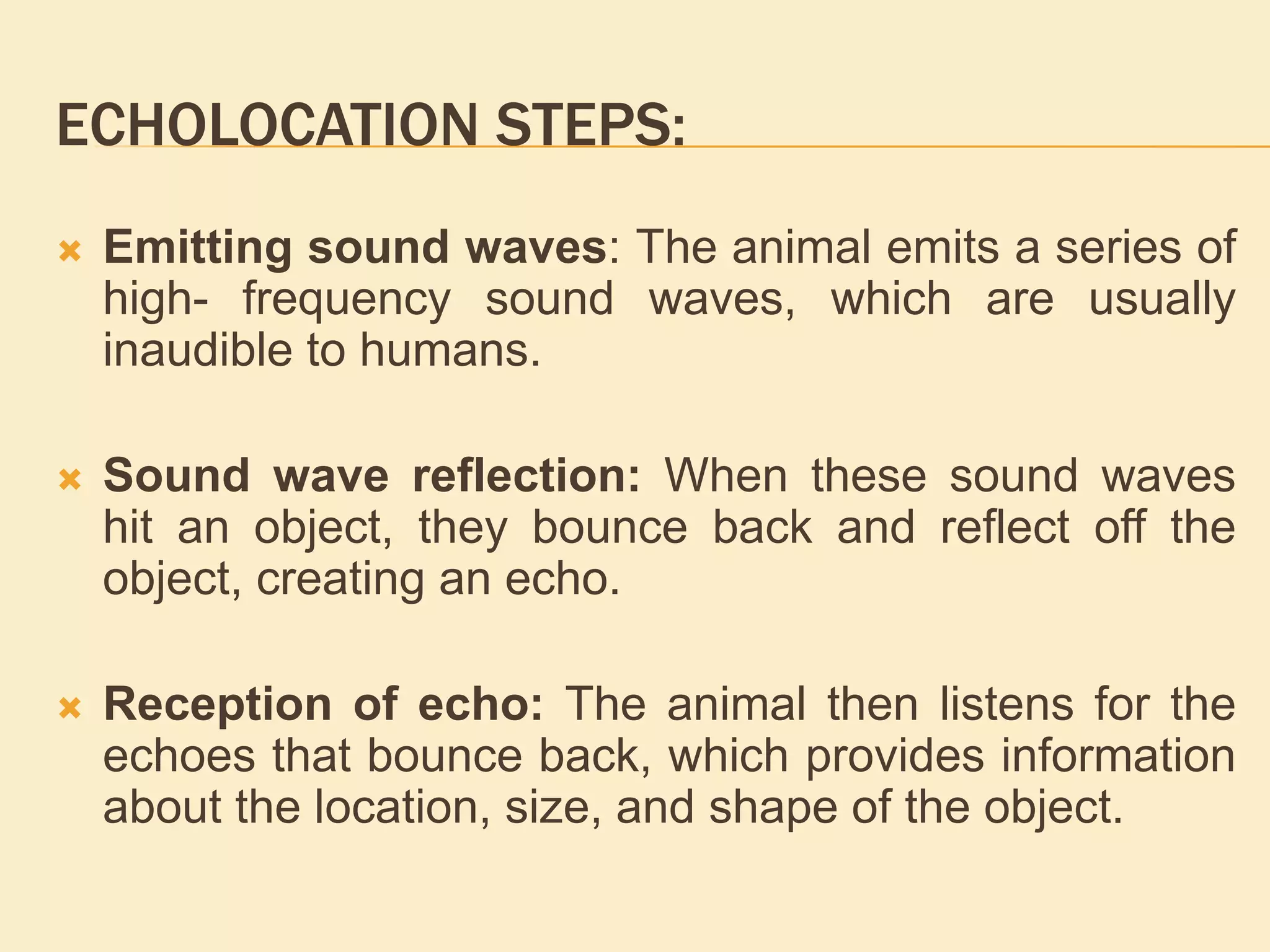 ECHOLOCATION STEPS:
 Emitting sound waves: The animal emits a series of
high- frequency sound waves, which are usually
inaudible to humans.
 Sound wave reflection: When these sound waves
hit an object, they bounce back and reflect off the
object, creating an echo.
 Reception of echo: The animal then listens for the
echoes that bounce back, which provides information
about the location, size, and shape of the object.
 