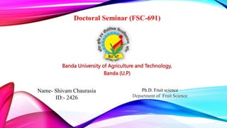 Doctoral Seminar (FSC-691)
Banda University of Agriculture and Technology,
Banda (U.P)
Name- Shivam Chaurasia
ID:- 2426
Ph.D. Fruit science
Department of Fruit Science
 