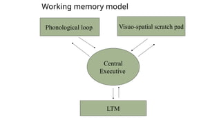 Ltm Model Introduction to Memory Introduction to Psychiatry History Taking & MSE ...