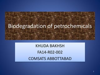 Biodegradation of petrochemicals 
KHUDA BAKHSH 
FA14-R02-002 
COMSATS ABBOTTABAD 
1 
 