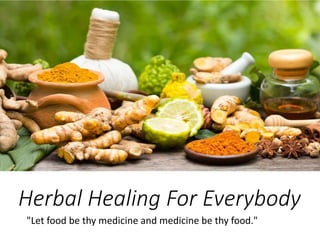 Herbal Healing For Everybody
"Let food be thy medicine and medicine be thy food."
 