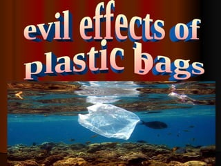 evil effects of plastic bags 