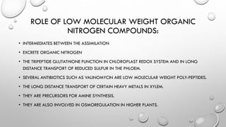 ROLE OF LOW MOLECULAR WEIGHT ORGANIC
NITROGEN COMPOUNDS:
• INTERMEDIATES BETWEEN THE ASSIMILATION
• EXCRETE ORGANIC NITROGEN
• THE TRIPEPTIDE GLUTATHIONE FUNCTION IN CHLOROPLAST REDOX SYSTEM AND IN LONG
DISTANCE TRANSPORT OF REDUCED SULFUR IN THE PHLOEM.
• SEVERAL ANTIBIOTICS SUCH AS VALINOMYCIN ARE LOW MOLECULAR WEIGHT POLY-PEPTIDES.
• THE LONG DISTANCE TRANSPORT OF CERTAIN HEAVY METALS IN XYLEM.
• THEY ARE PRECURSORS FOR AMINE SYNTHESIS.
• THEY ARE ALSO INVOLVED IN OSMOREGULATION IN HIGHER PLANTS.
 