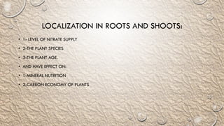 LOCALIZATION IN ROOTS AND SHOOTS:
• 1- LEVEL OF NITRATE SUPPLY
• 2-THE PLANT SPECIES
• 3-THE PLANT AGE.
• AND HAVE EFFECT ON:
• 1-MINERAL NUTRITION
• 2-CARBON ECONOMY OF PLANTS
 