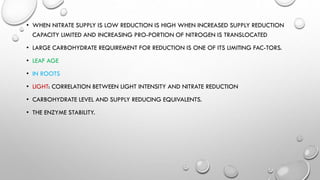 • WHEN NITRATE SUPPLY IS LOW REDUCTION IS HIGH WHEN INCREASED SUPPLY REDUCTION
CAPACITY LIMITED AND INCREASING PRO-PORTION OF NITROGEN IS TRANSLOCATED
• LARGE CARBOHYDRATE REQUIREMENT FOR REDUCTION IS ONE OF ITS LIMITING FAC-TORS.
• LEAF AGE
• IN ROOTS
• LIGHT: CORRELATION BETWEEN LIGHT INTENSITY AND NITRATE REDUCTION
• CARBOHYDRATE LEVEL AND SUPPLY REDUCING EQUIVALENTS.
• THE ENZYME STABILITY.
 