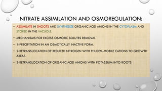 NITRATE ASSIMILATION AND OSMOREGULATION:
• ASSIMILATE IN SHOOTS AND SYNTHESIZE ORGANIC ACID ANIONS IN THE CYTOPLASM AND
STORED IN THE VACUOLE.
• MECHANISMS FOR EXCESS OSMOTIC SOLUTES REMOVAL
• 1-PRECIPITATION IN AN OSMOTICALLY INACTIVE FORM.
• 2-RETRANSLOCATION OF REDUCED NITROGEN WITH PHLOEM-MOBILE CATIONS TO GROWTH
AREAS
• 3-RETRANSLOCATION OF ORGANIC ACID ANIONS WITH POTASSIUM INTO ROOTS
 
