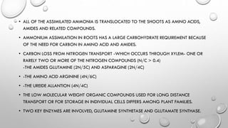 • ALL OF THE ASSIMILATED AMMONIA IS TRANSLOCATED TO THE SHOOTS AS AMINO ACIDS,
AMIDES AND RELATED COMPOUNDS.
• AMMONIUM ASSIMILATION IN ROOTS HAS A LARGE CARBOHYDRATE REQUIREMENT BECAUSE
OF THE NEED FOR CARBON IN AMINO ACID AND AMIDES.
• CARBON LOSS FROM NITROGEN TRANSPORT -WHICH OCCURS THROUGH XYLEM- ONE OR
RARELY TWO OR MORE OF THE NITROGEN COMPOUNDS (N/C > 0.4)
-THE AMIDES GLUTAMINE (2N/5C) AND ASPARAGINE (2N/4C)
• -THE AMINO ACID ARGININE (4N/6C)
• -THE UREIDE ALLANTION (4N/4C)
• THE LOW MOLECULAR WEIGHT ORGANIC COMPOUNDS USED FOR LONG DISTANCE
TRANSPORT OR FOR STORAGE IN INDIVIDUAL CELLS DIFFERS AMONG PLANT FAMILIES.
• TWO KEY ENZYMES ARE INVOLVED, GLUTAMINE SYNTHETASE AND GLUTAMATE SYNTHASE.
 