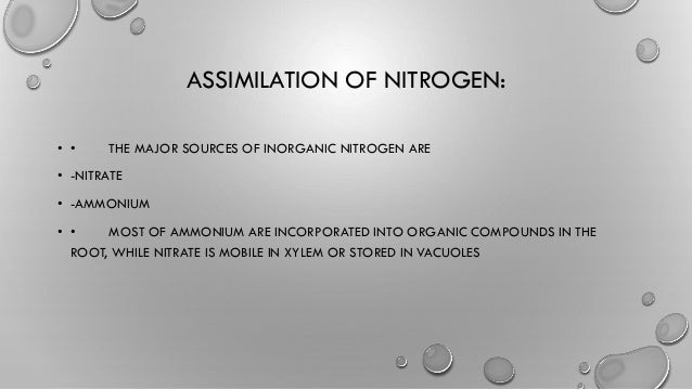nitrate and ammonium assimilation in plants pdf