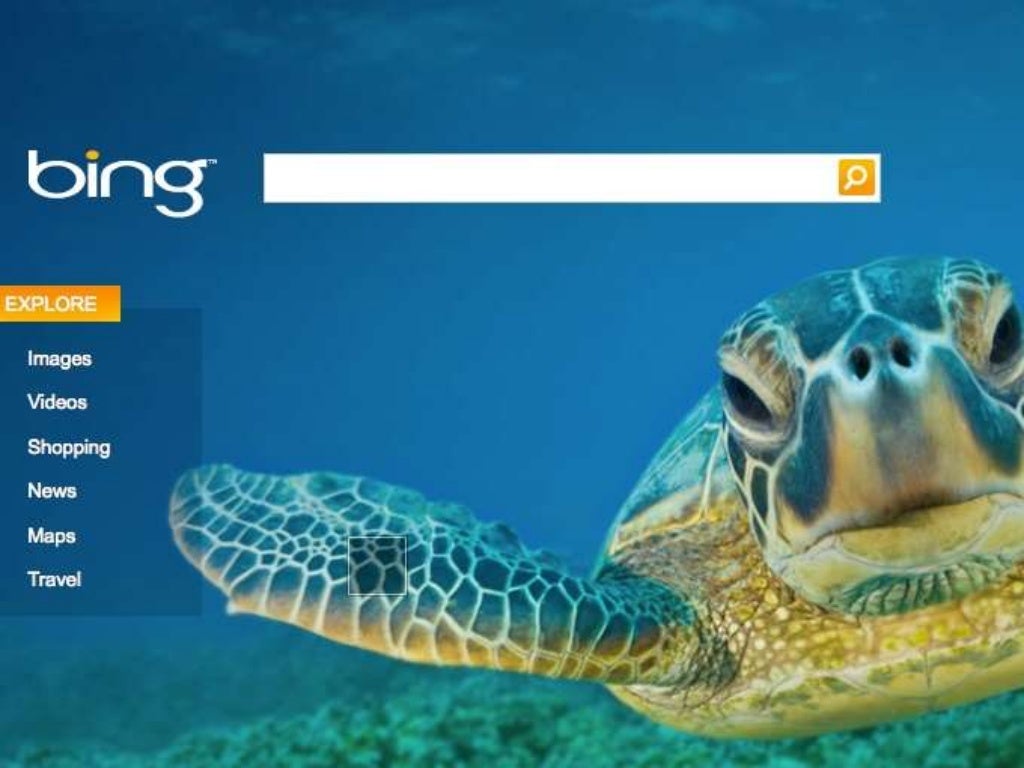 Bing Search Engine