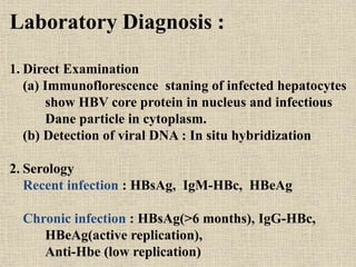 Laboratory Diagnosis :
1. Direct Examination
(a) Immunoflorescence staning of infected hepatocytes
show HBV core protein in nucleus and infectious
Dane particle in cytoplasm.
(b) Detection of viral DNA : In situ hybridization
2. Serology
Recent infection : HBsAg, IgM-HBc, HBeAg
Chronic infection : HBsAg(>6 months), IgG-HBc,
HBeAg(active replication),
Anti-Hbe (low replication)
 