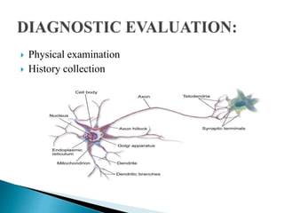  Physical examination
 History collection
 