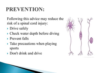 Following this advice may reduce the
risk of a spinal cord injury:
 Drive safely
 Check water depth before diving
 Prevent falls
 Take precautions when playing
sports
 Don't drink and drive
 