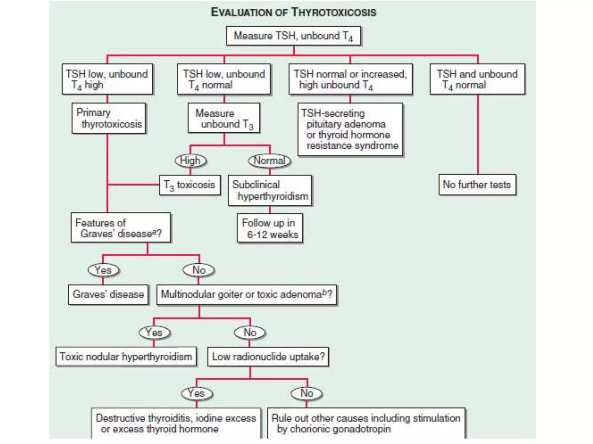 Graves disease and Thyroid eye disease with orbital decompression | PPT