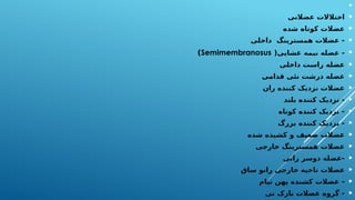 

‫عضالنی‬ ‫اختالالت‬

‫شده‬ ‫کوتاه‬ ‫عضالت‬

‫داخلی‬ ‫همسترینگ‬ ‫عضالت‬ -

‫غشایی‬ ‫نیمه‬ ‫عضله‬ -
(
Semimembranosus
)

‫داخلی‬ ‫راست‬ ‫عضله‬

‫قدامی‬ ‫نئی‬ ‫درشت‬ ‫عضله‬

‫ران‬ ‫کننده‬ ‫نزدیک‬ ‫عضالت‬

‫بلند‬ ‫کننده‬ ‫نزدیک‬ -

‫کوتاه‬ ‫کننده‬ ‫نزدیک‬ -

‫بزرگ‬ ‫کننده‬ ‫نزدیک‬ -

‫شده‬ ‫کشیده‬ ‫و‬ ‫ضعیف‬ ‫عضالت‬

‫خارجی‬ ‫همسترینگ‬ ‫عضالت‬

‫رانی‬ ‫دوسر‬ ‫عضله‬-

‫ساق‬ ‫رانو‬ ‫خارجی‬ ‫ناحیه‬ ‫عضالت‬

‫نیام‬ ‫پهن‬ ‫کشنده‬ ‫عضالت‬ -

‫نی‬ ‫نازک‬ ‫عضالت‬ ‫گروه‬ -
 