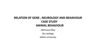 RELATION OF GENE , NEUROLOGY AND BEHAVIOUR
CASE STUDY
ANIMAL BEHAVIOUR
Abhinaya Alley
Bsc zoology
Sikkim university
 