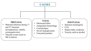 CAUSES
PRENATAL
• Maternal infection during 1st
and 2nd trimester
(toxoplasmosis, rubella,
cytomegalovirus)
• Vascular events (such as
MCA infarct)
NATAL
• Obstructed labor
• Antepartum hemorrhage
• Cord prolapse
• Severe hypoglycemia
• Untreated jaundice
POSTNATAL
• Infection (meningitis)
• CVA
• Shaken baby syndrome
• Toxicity such as alcohol
 