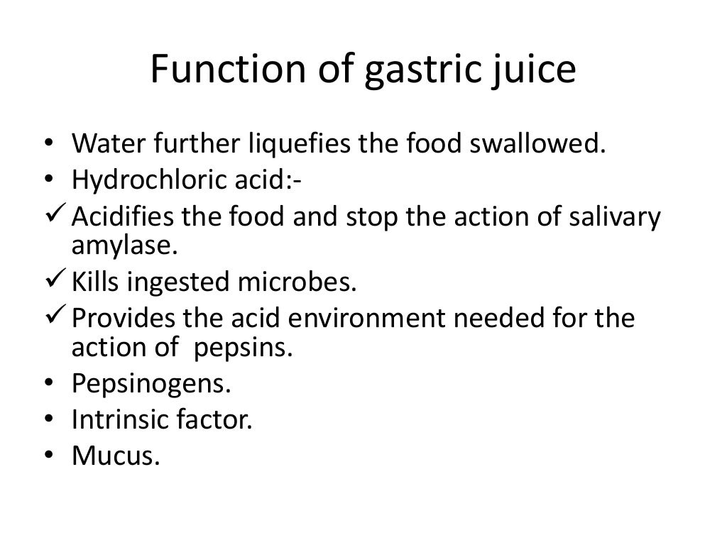 gastric juice