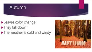 Autumn
Leaves color change.
They fall down
The weather is cold and windy
 