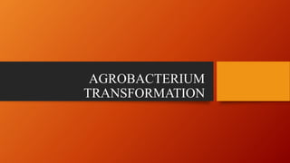 AGROBACTERIUM
TRANSFORMATION
 