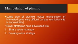 Manipulation of plasmid
• Large size of plasmid makes manipulation of
interested gene very difficult (unique restriction site
is impossibility)
• Novel strategies have developed like
I. Binary vector strategy
II. Co-integration strategy
 