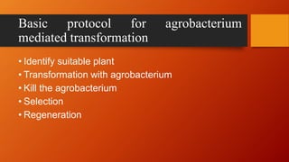 Basic protocol for agrobacterium
mediated transformation
• Identify suitable plant
• Transformation with agrobacterium
• Kill the agrobacterium
• Selection
• Regeneration
 