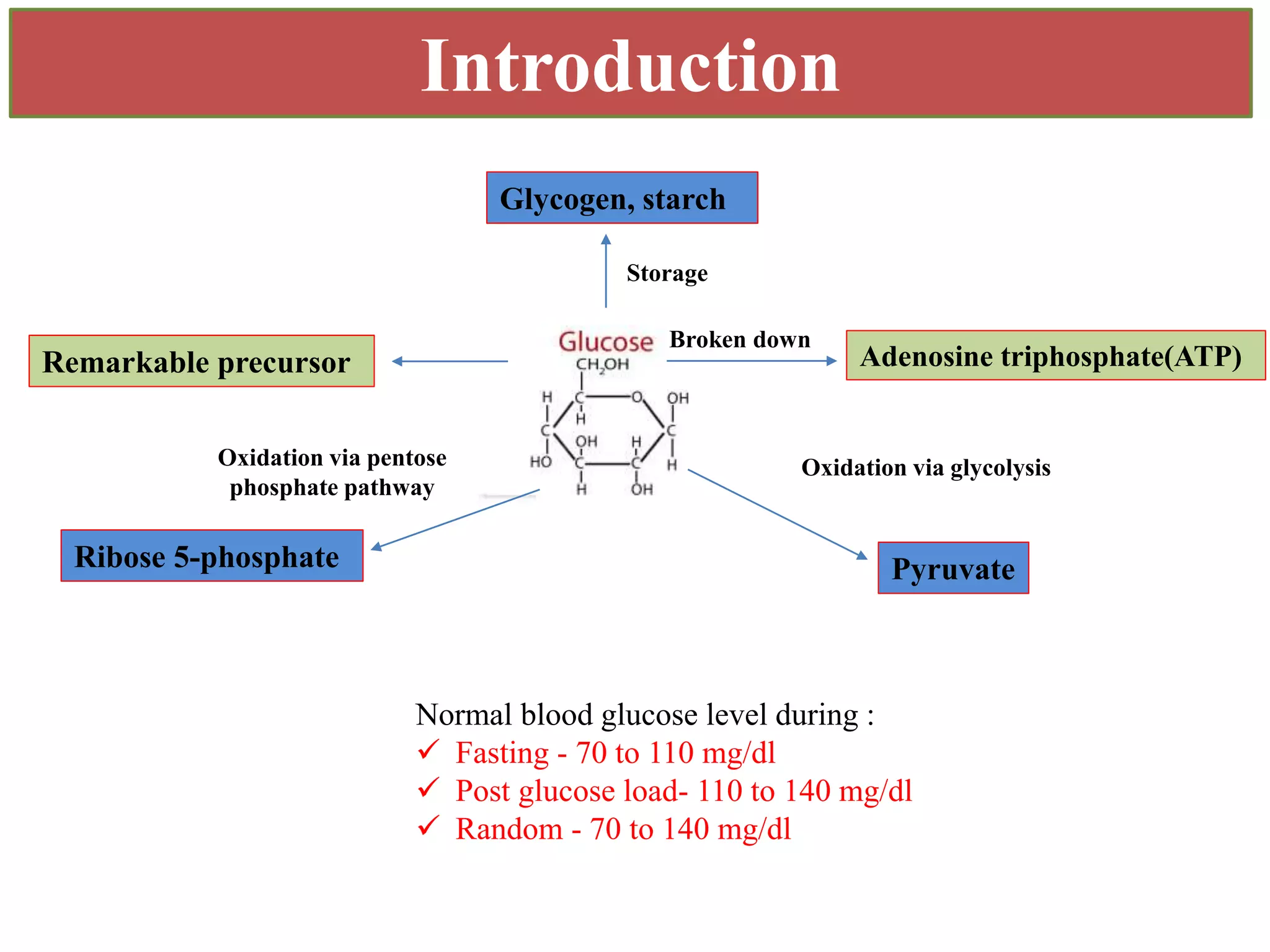 Mechanism of blood glucose Regulation | PPTX