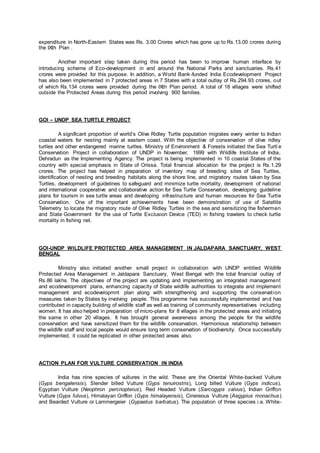 Undp Turtle Project New microsoft word document | DOCX