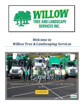 Welcome to
Willow Tree & Landscaping Services
 